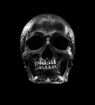 Human skull Stock Photos
