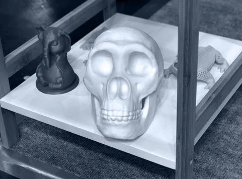 Human skull printed on 3D printer from plastic. New 3D printing technology. Stock Photos
