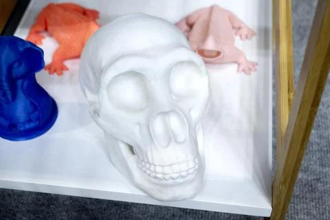 Human skull printed on 3D printer from plastic close-up. 3D printing technology Stock Photos