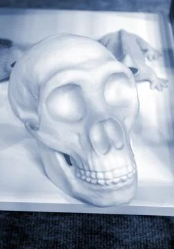 Human skull printed on 3D printer from plastic close-up. 3D printing technology Stock Photos