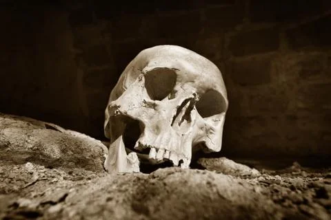 Human skull  in prisoner Stock Photos