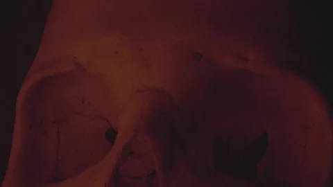 Human skull pull out shot red lighting Stock Footage 234073215