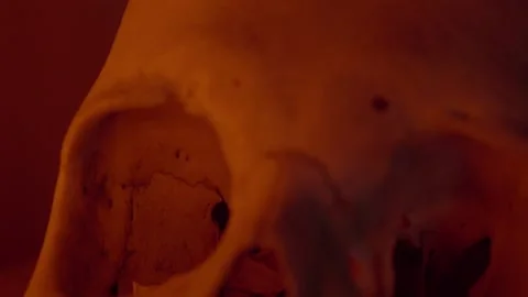Human skull pull out shot red lighting Stock Footage 234073219