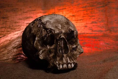 Human Skull with red light on brown textile background , Halloween decoration Stock Photos