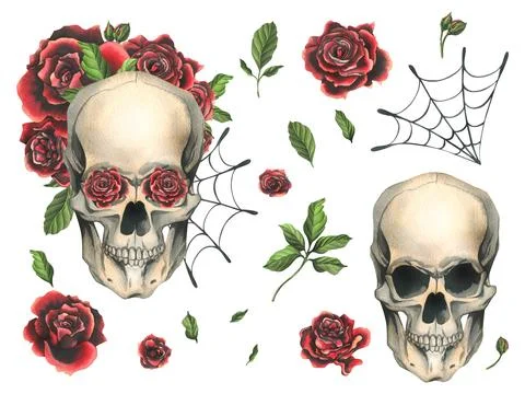 Human skull with red roses and cobwebs. Hand drawn watercolor illustration for Stock Illustration
