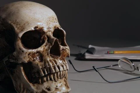Human skull research Stock Photos