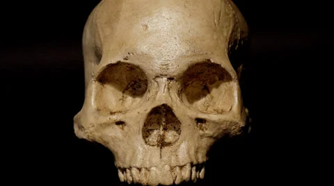 Human Skull revealed by moving light Stock Footage 33746071