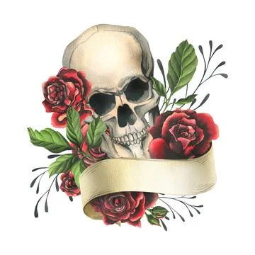 Human skull with ribbon for text, red rose flowers and leaves. Hand drawn Иллюстрация