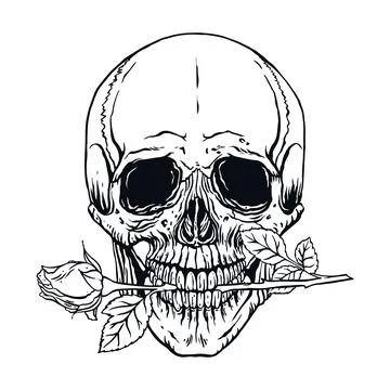 Human skull with a rose Ilustración de archivo