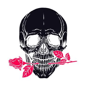 Human skull with a rose Stock Illustration