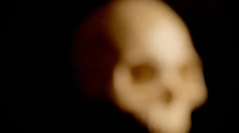 Human skull rotates and comes into focus Video stock 33790619