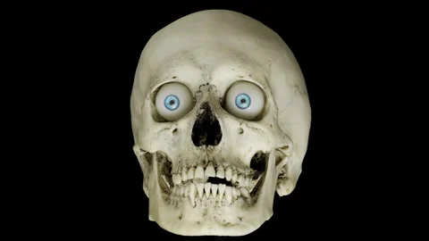 Human skull rotating on a black background. Seamless loop. Video stock 269883142
