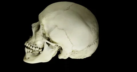 Human skull rotating on a black background. Seamless loop. Stock Footage 273282990