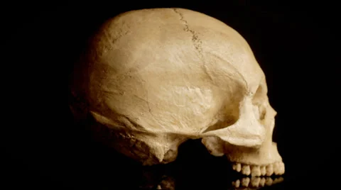Human skull rotating Stock Footage 33794947
