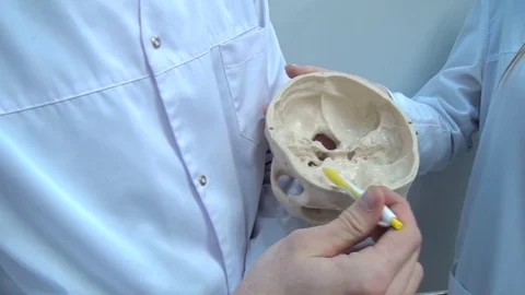 Human skull rotating Stock Footage