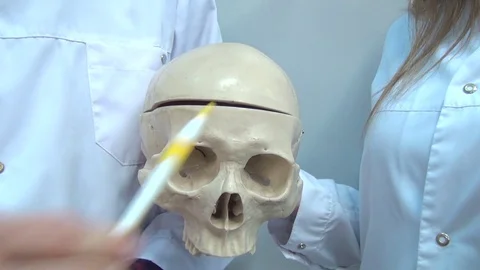 Human skull rotating Stock Footage 74310899