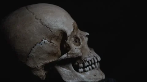 Human Skull Rotating Night. Slow mo Vídeo Stock 276742368