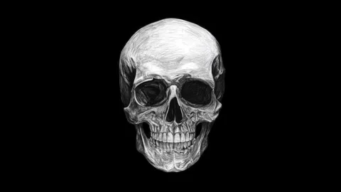 Human skull rotating with subtle breathing motion on black background seaml.. Vidéo 339791654