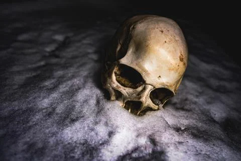 Human skull in snow Stock Photos