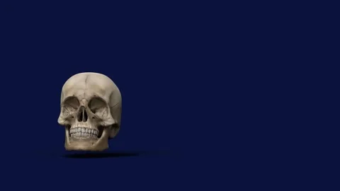 A human skull spinning around itself - customizable background, separate al.. 스톡 동영상 319780954