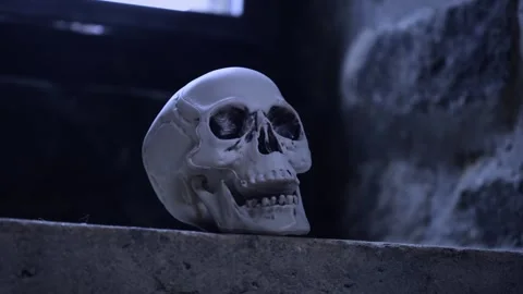 Human Skull On A Stone Surface In A Dark Room Of An Old Building Stock Footage 281958611