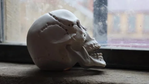 A Human Skull On A Stone Windowsill Facing The Window Stock Footage 281958610