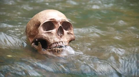 Human skull in streamlet Stock Footage 66381760
