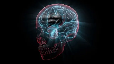 Human Skull Transparent with Brain. X-ray 3D render Loop Rotation Full HD Stock Footage 69810047