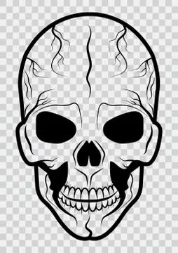 Human skull on transparentbackground. Design element for label, emblem, badge Stock Illustration