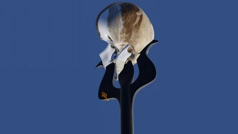 Human Skull in Trisula .. Stock Footage 315204719