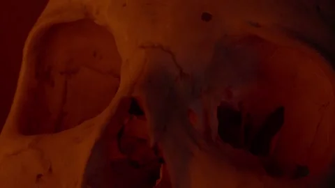 Human Skull under Red light  Stock Footage 234073203