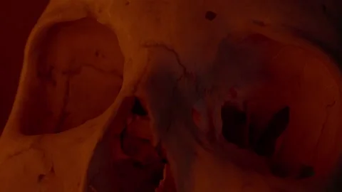 Human Skull under Red light  Stock Footage 234073204