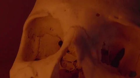 Human Skull under Red light  Stock Footage 234073206
