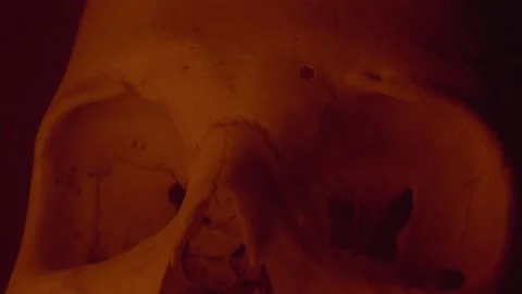 Human Skull under Red light Stock Footage 234073216
