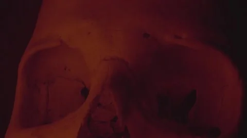 Human Skull under Red light  Stock Footage 234073220