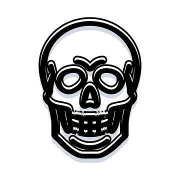 Human skull vector art on white background Stock Illustration