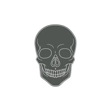 Human Skull vector icon drawing Stock Illustration