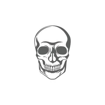 Human Skull vector icon drawing Stock Illustration