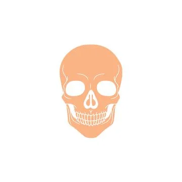 Human Skull vector icon drawing Stock Illustration