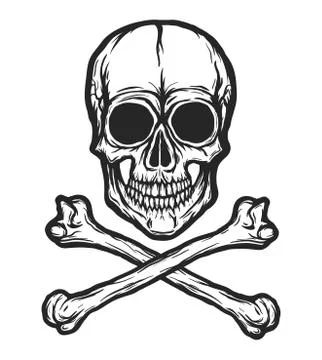 Human skull vector Illustrazione stock