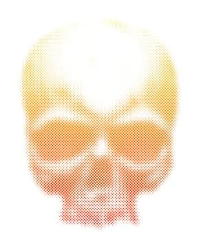 Human skull vector illustration. Stock Illustration