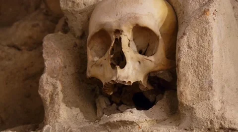 Human skull in the wall Stock Footage 44476526
