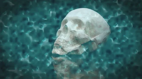 Human skull in water Stock Footage 138738252
