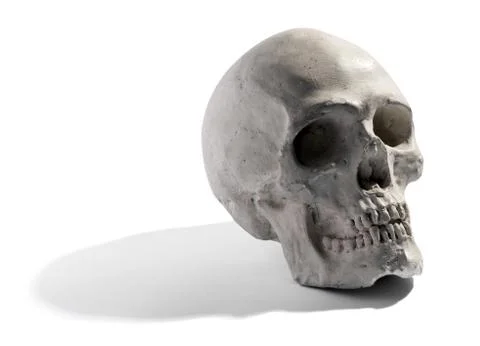 Human skull on a white background Stock Photos