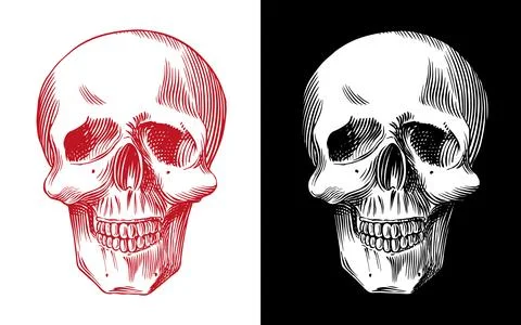 Human skull Wizardry and witchcraft element for magic rituals and spiritualism Illustration