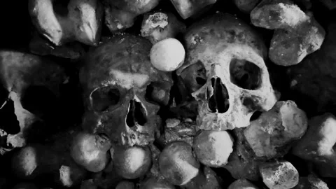 Human Skulls and Bones arranged in rows in Catacombs Video stock 309400275