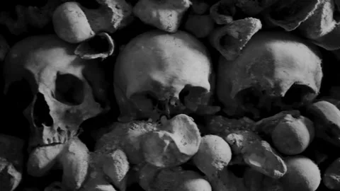 Human Skulls and Bones arranged in rows in Catacombs Video stock 309400304