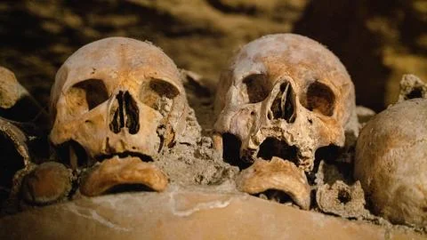 Human skulls and bones Catacombs of Paris Paris France Europe Stock Photos