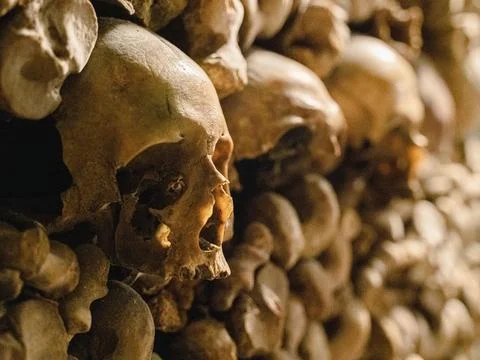 Human skulls and bones Catacombs of Paris Paris France Europe Stock Photos