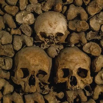 Human skulls and bones Catacombs of Paris Paris France Europe Stock Photos